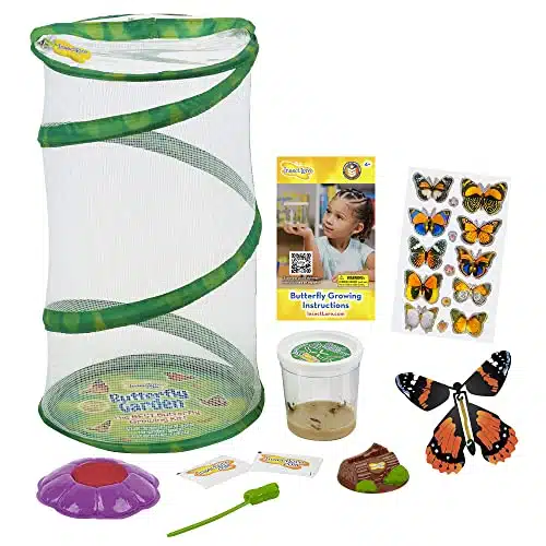 Butterfly Mini Garden Gift Set With Live Cup Of Caterpillars Â Life Science &Amp; Stem Education   Best Birthday Gift, For Boys &Amp; Girls Age Years Old