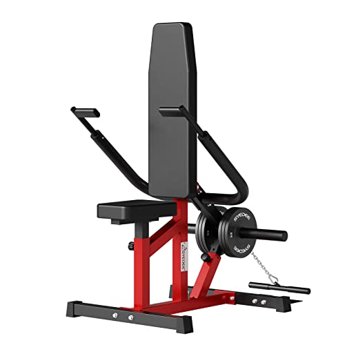 Syedee Seated Dip Machine Plate Loaded Tricep Dip Press Machine With Cable Bar For Biceps Chest Training Hold Up To Lbs Syedee Seated Dip Machine Plate Loaded Tricep Dip Press Machine With Cable Bar For Biceps Chest Training, Hold Up To Lbs