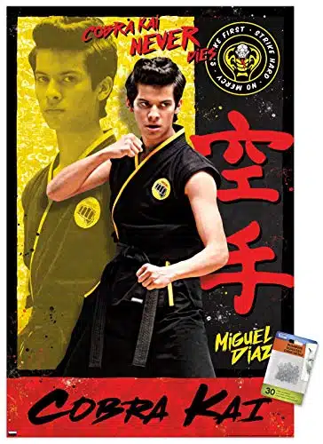 Cobra Kai   Miguel Wall Poster With Push Pins