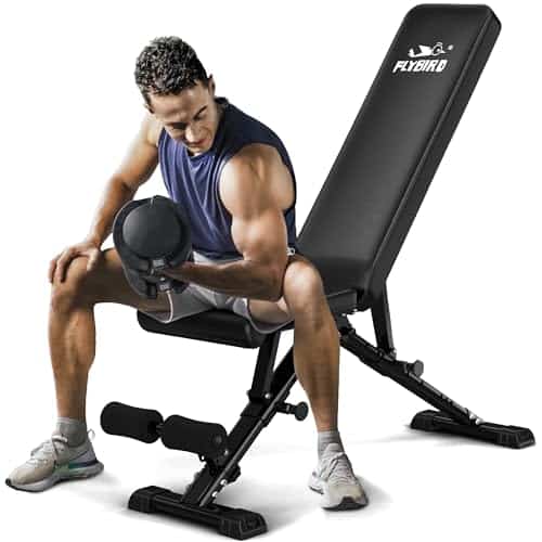 Flybird Weight Bench Adjustable Strength Training Bench For Full Body Workout With Fast Folding New Version Flybird Weight Bench, Adjustable Strength Training Bench For Full Body Workout With Fast Folding New Version
