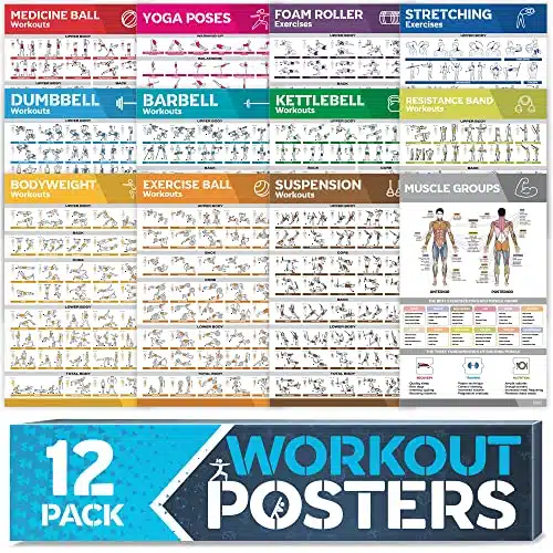 [Pack] Laminated Large Workout Poster Set   Perfect Workout Posters For Home Gym   Exercise Charts Incl. Dumbbell, Yoga Poses, Resistance Band, Kettlebell, Stretching &Amp; More F