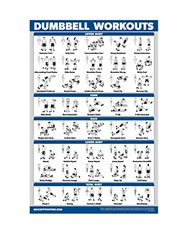 Palace Learning Dumbbell Workout Exercise Poster   Free Weight Body Building Guide  Home Gym Chart   Laminated, X